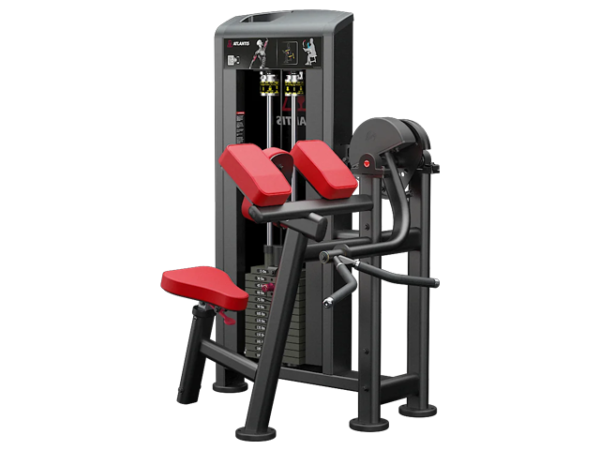 ATLANTIS - Biceps Curl