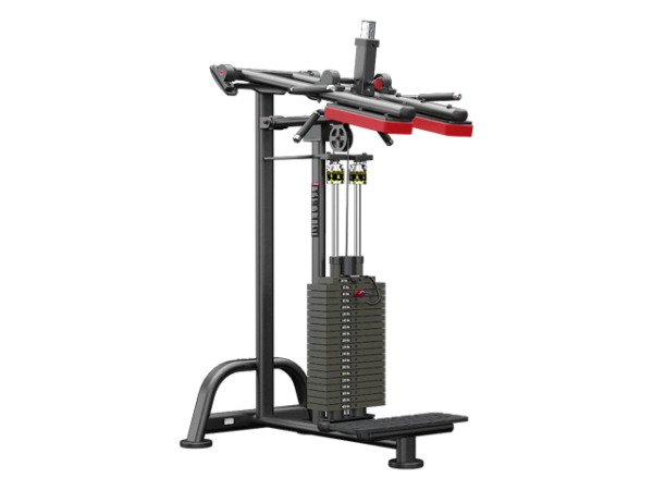 ATLANTIS - Standing Calf Raise