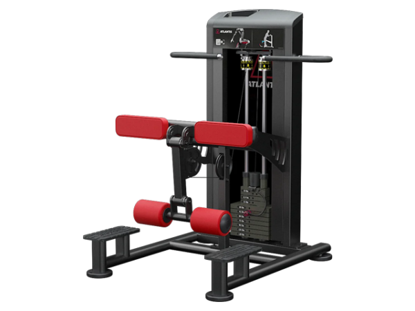 ATLANTIS - Standing Leg Curl