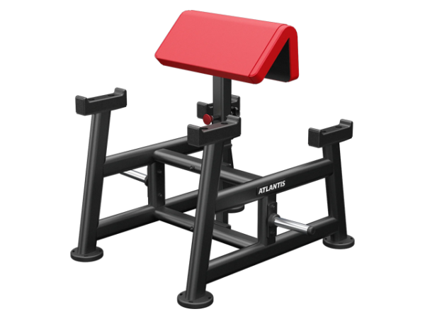 Atlantis - Standing Preacher Curl