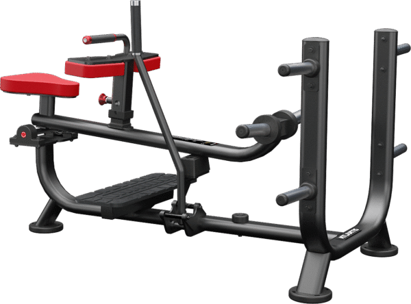 ATLANTIS - Seated Calf