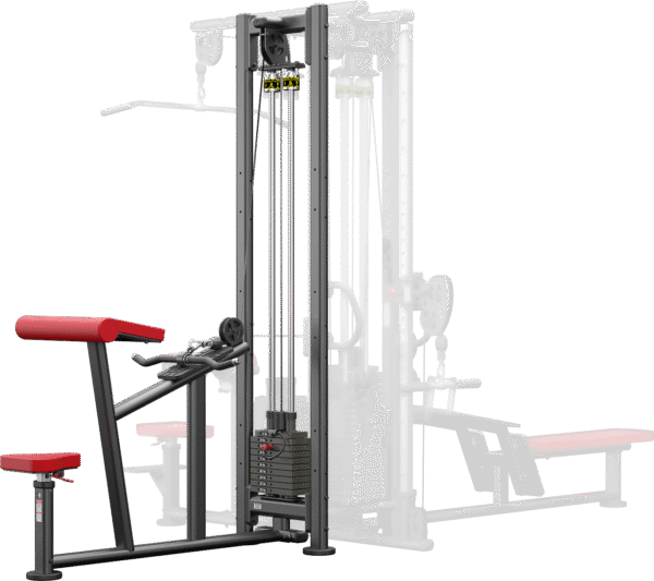 Atlantis - Horizontal Bicep Curl (B158 model)