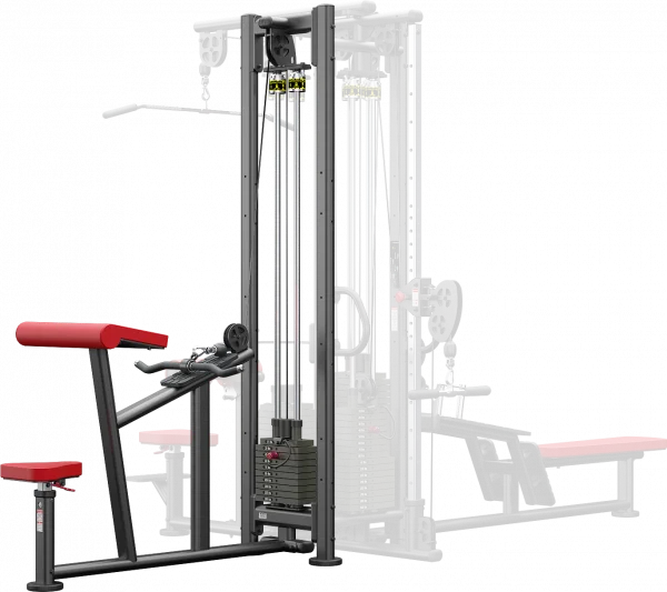 Atlantis - Horizontal Bicep Curl (B158 model)