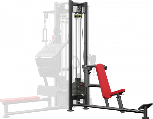 ATLANTIS - Overhead Triceps (T161 Model)