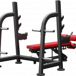 Atlantis - Olympic Flat / Decline Bench Press