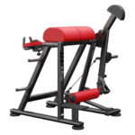 Reverse Hyper Extension