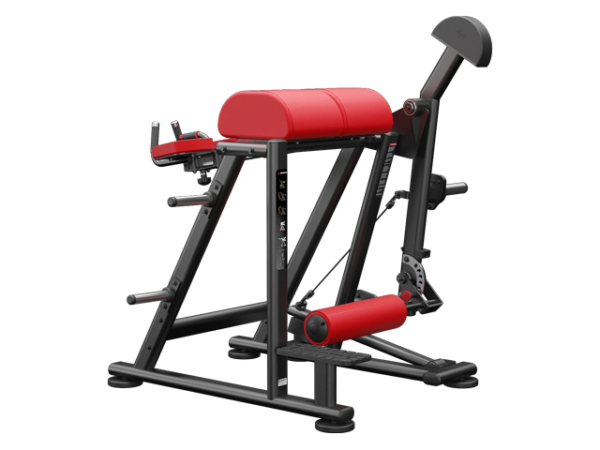 Reverse hyper extension