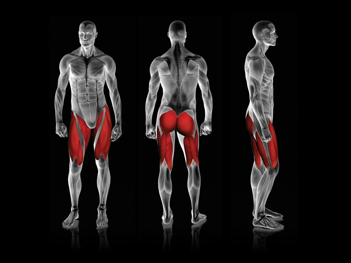 Rogers Athletic - Hip Press Pro | Pendulum - Image 5
