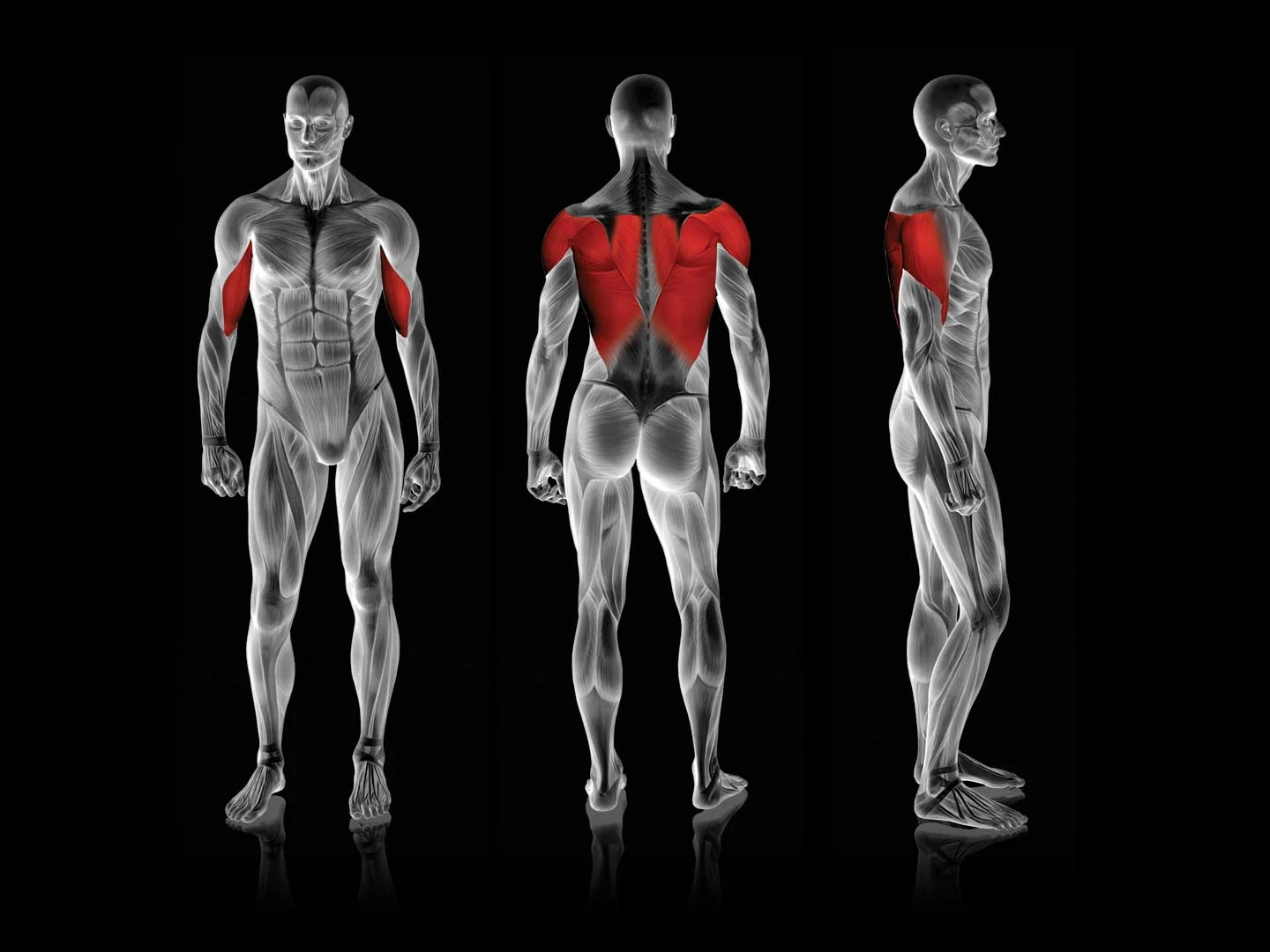 Rogers Athletic - Lat Combo Pull | Pendulum - Image 19