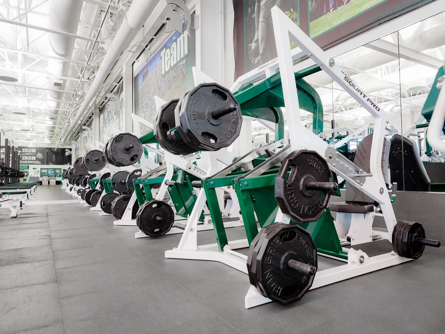 Rogers Athletic - Seated Squat Pro | Pendulum - Image 14