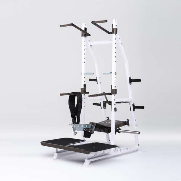 Rogers Athletic - Pit Shark (Tall) | Pendulum