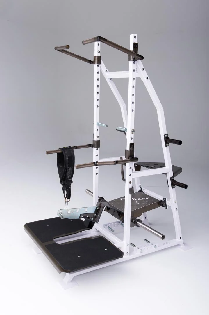 Rogers Athletic - Pit Shark (Tall) | Pendulum - Image 3