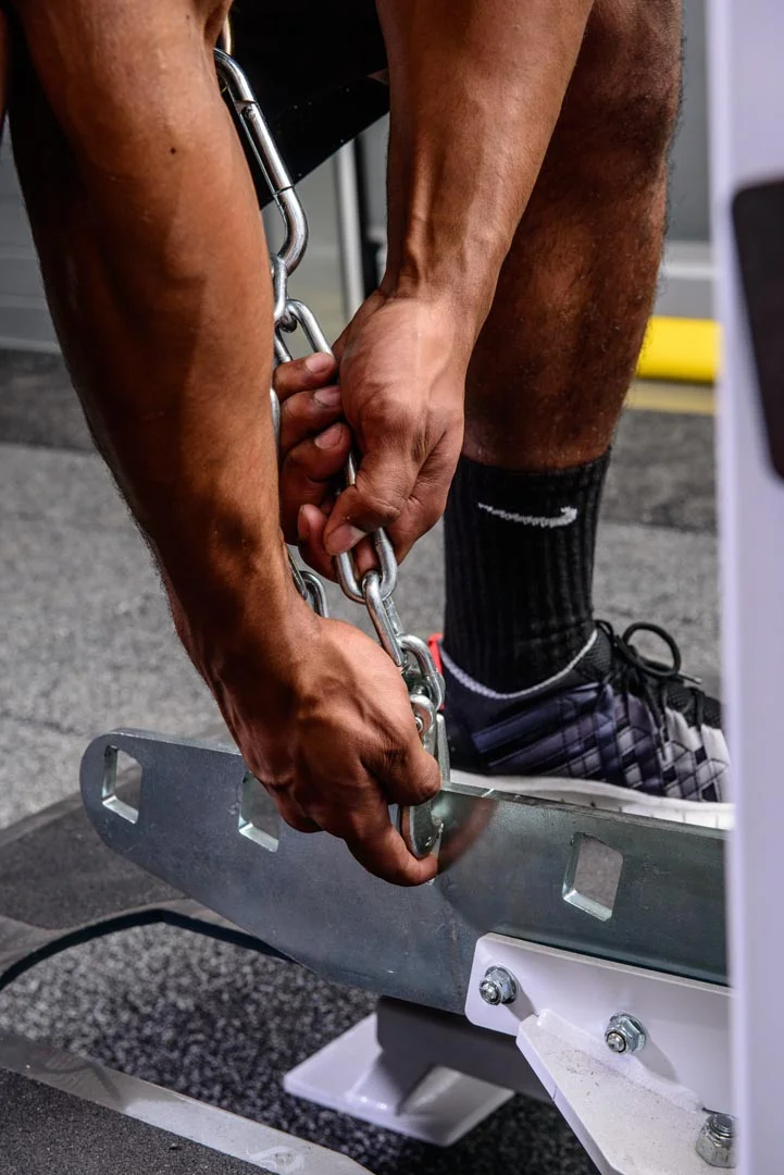 Rogers Athletic - Pit Shark (Tall) | Pendulum - Image 5