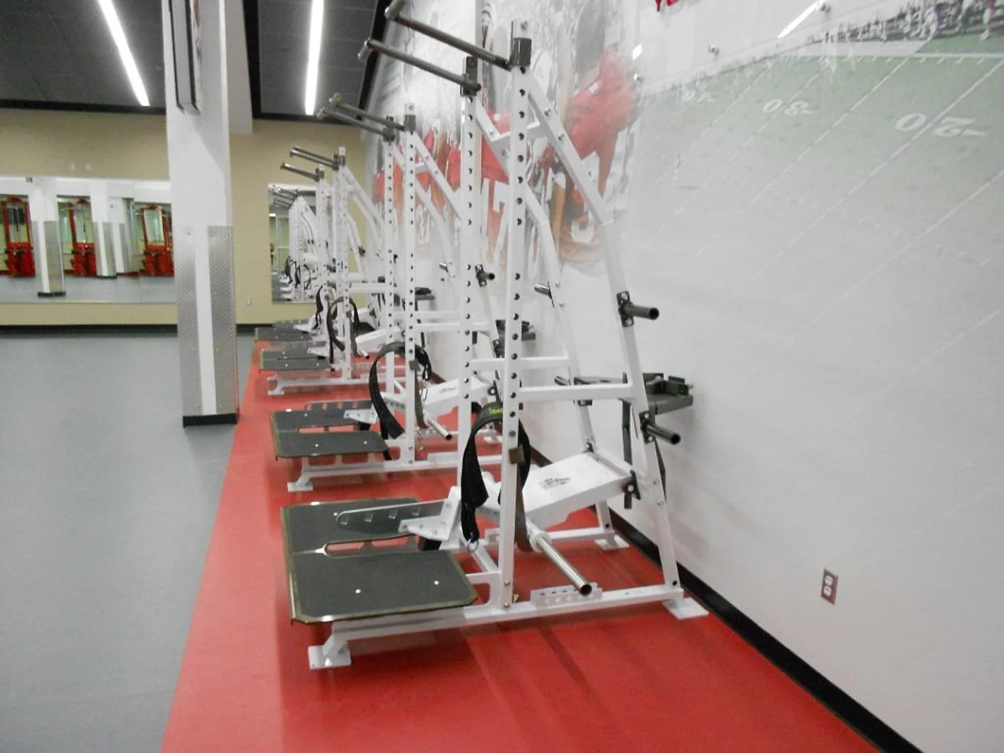 Rogers Athletic - Pit Shark (Tall) | Pendulum - Image 7