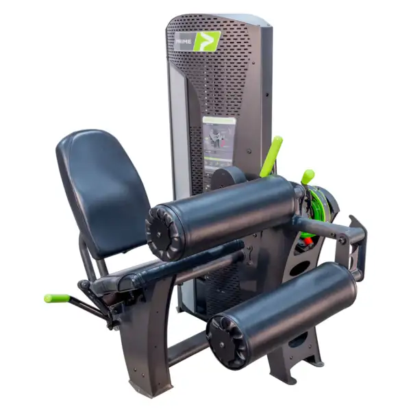 Seated :Leg Curl Evolution