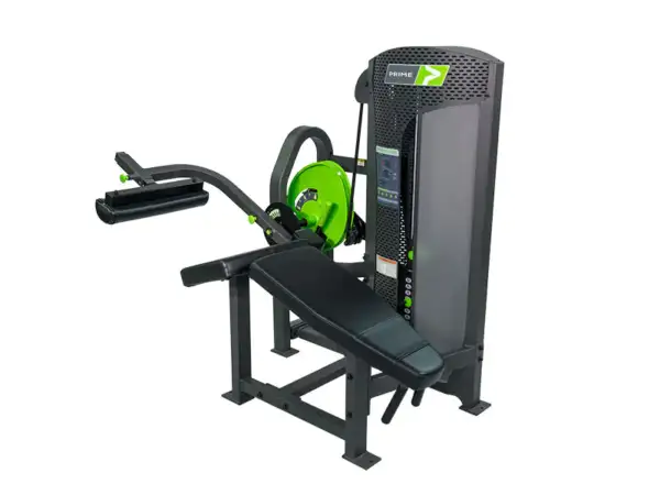 Prone Leg Curl Hybrid