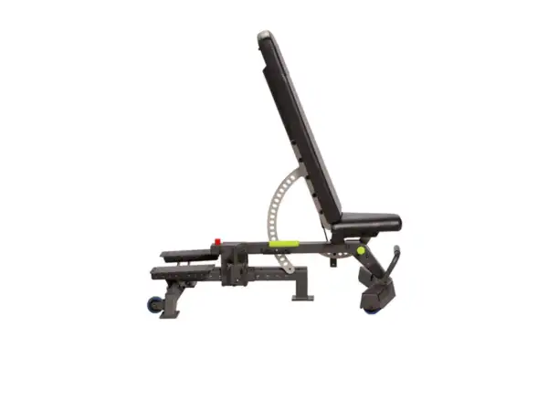 PRIME - XL Bench | Prime