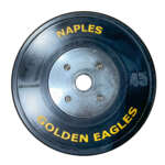 UESAKA Pro Series Bumper Plates