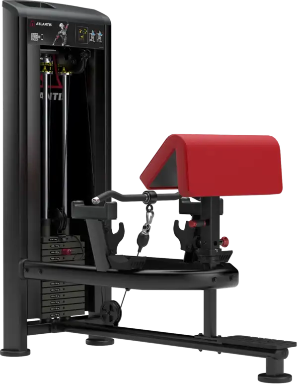 ATLANTIS - STANDING PREACHER CURL