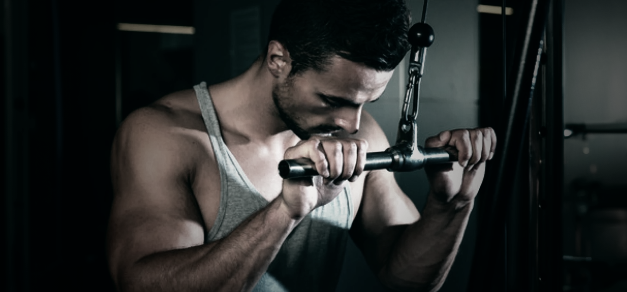 Straight Bar Tricep Extension