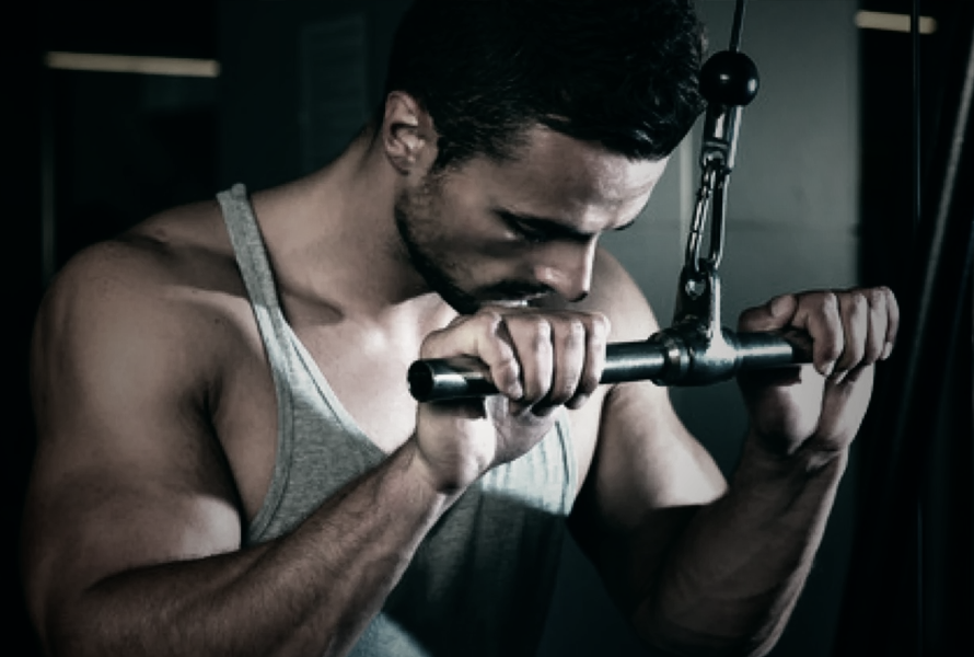 Straight Bar Tricep Extension