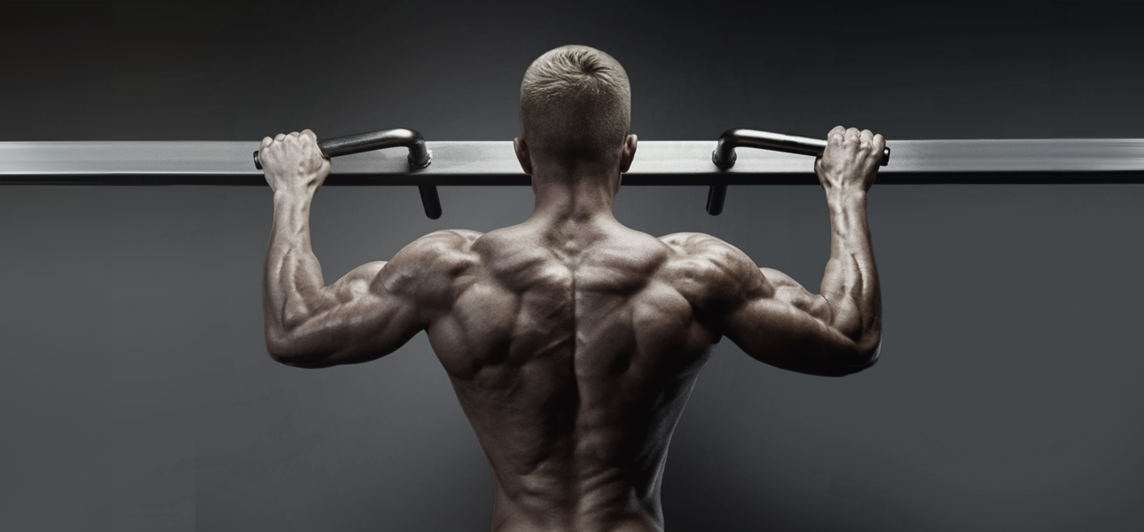Assisted Pull Up