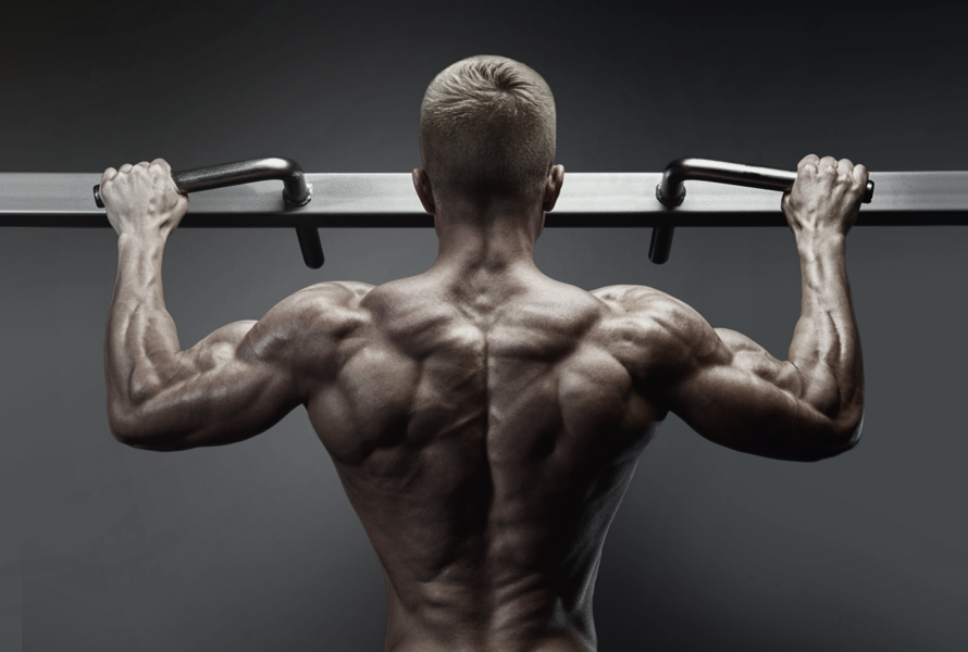 Assisted Pull Up